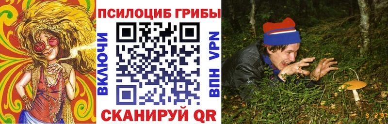 как найти закладки  Котово  Галлюциногенные грибы Psilocybe 